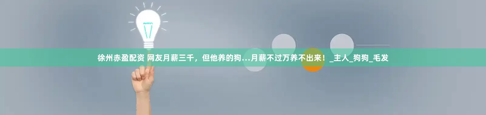 徐州赤盈配资 网友月薪三千，但他养的狗…月薪不过万养不出来！_主人_狗狗_毛发