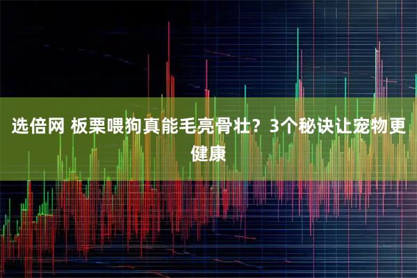 选倍网 板栗喂狗真能毛亮骨壮？3个秘诀让宠物更健康