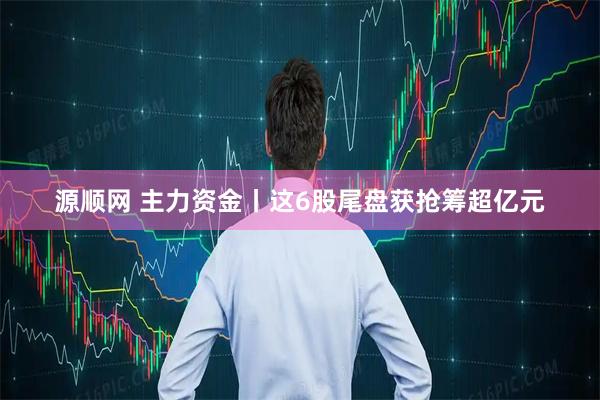 源顺网 主力资金丨这6股尾盘获抢筹超亿元